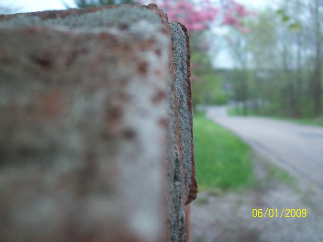 041.JPG