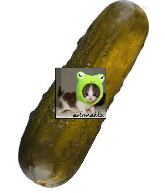 stuckinapickle.png