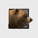 Brown_Bear.jpg